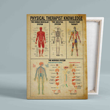 Physical Therapist Knowledge Canvas, Knowledge Canvas, Wall Art Canvas, Gift Canvas