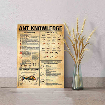 Ant Knowledge Canvas, Ant Canvas, Types Of Ants Canvas, Wall Art Canvas, Gift Canvas