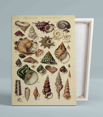 Seashell Canvas, Canvas Wall Art, Gift Canvas, Family Canvas