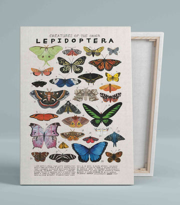 Creatures Of The Order Lepidoptera Canvas, Butterfly Canvas, Moths Canvas, Animal Canvas, Gift Canvas